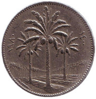 Монета 50 филсов. 1980 год, Ирак. Пальмовые деревья. Монета 50 филсов. 1980 год, Ирак. Пальмовые деревья.
