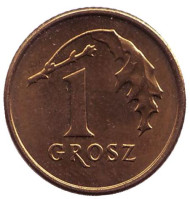 Монета 1 грош, 2008 год, Польша. UNC. Дубовый лист. Монета 1 грош, 2008 год, Польша. UNC. Дубовый лист.