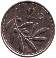 Монета 2 цента. 2005 год, Мальта. Оливковая ветвь.