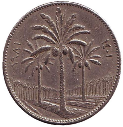 Монета 50 филсов, 1981 год, Ирак. Пальмовые деревья.