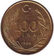 Монета 100 лир. 1988 год, Турция. (Вар.II) Монета 100 лир. 1988 год, Турция. (Вар.II)