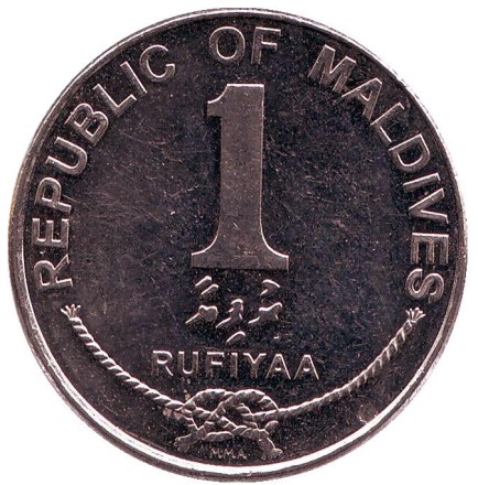 rufi-2.jpg rufi-2.jpg