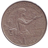 Монета 1 динар. 1983 год, Тунис. FAO. Женщина, собирающая урожай. Монета 1 динар. 1983 год, Тунис. FAO. Женщина, собирающая урожай.