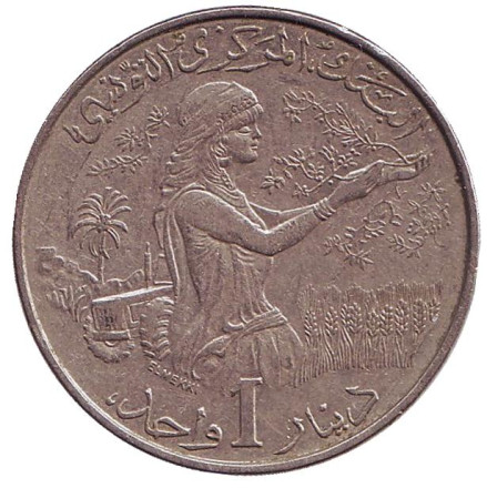 Монета 1 динар. 1983 год, Тунис. FAO. Женщина, собирающая урожай.