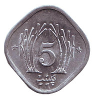 Монета 5 пайсов. 1989 год, Пакистан. Монета 5 пайсов. 1989 год, Пакистан.