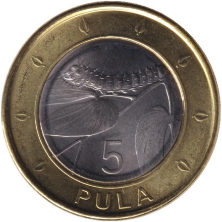 Монета 5 пул. 2016 год, Ботсвана. Гусеница. Монета 5 пул. 2016 год, Ботсвана. Гусеница.