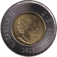 Монета 2 доллара. 2021 год, Канада. Полярный медведь. Монета 2 доллара. 2021 год, Канада. Полярный медведь.