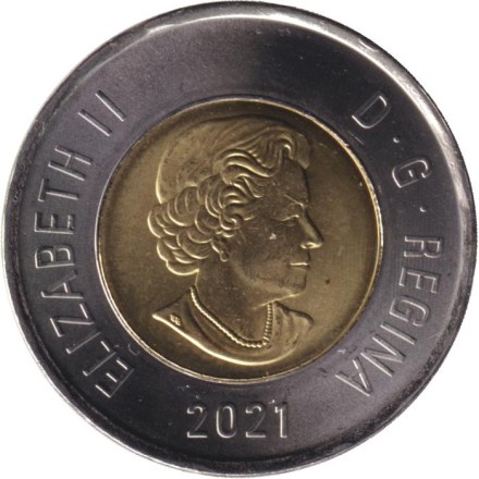 Монета 2 доллара. 2021 год, Канада. Полярный медведь. Монета 2 доллара. 2021 год, Канада. Полярный медведь.