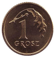 Монета 1 грош, 2009 год, Польша. Дубовый лист. Монета 1 грош, 2009 год, Польша. Дубовый лист.
