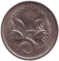 Монета 5 центов. 1983 год, Австралия. Ехидна. Монета 5 центов. 1983 год, Австралия. Ехидна.