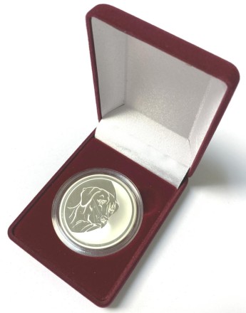 Футляр (коробка) прямоугольный для одной монеты диаметром до 46 мм. Производство Китай. 61х79х32 мм.