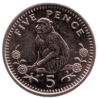 Варварийская обезьяна. Монета 5 пенсов. 1989 год, Гибралтар. (AB)
