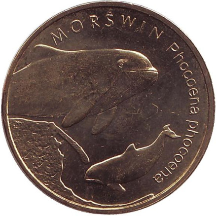 Монета 2 злотых. 2004 год, Польша. Морская свинья.