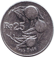Монета 25 рупий. 1996 год, Индонезия. Мускатный орех. Монета 25 рупий. 1996 год, Индонезия. Мускатный орех.
