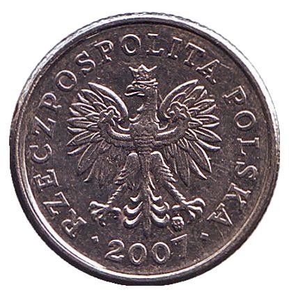 Монета 20 грошей. 2007 год, Польша. Монета 20 грошей. 2007 год, Польша.