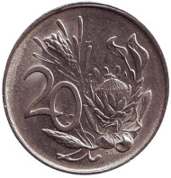 Монета 20 центов. 1984 год, ЮАР. Цветок протея.