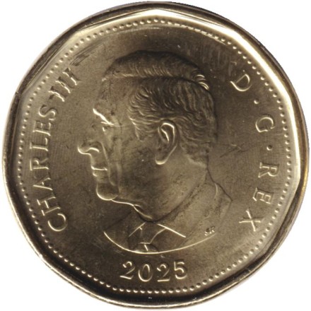 Монета 1 доллар. 2025 год, Канада. 150 лет Верховному Суду Канады.