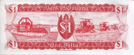 monetarus_1dollar_gayana-2.jpg