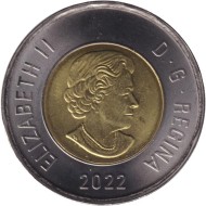 Монета 2 доллара. 2022 год, Канада. Полярный медведь. Монета 2 доллара. 2022 год, Канада. Полярный медведь.