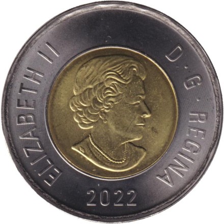 Монета 2 доллара. 2022 год, Канада. Полярный медведь.