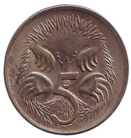 Монета 5 центов. 1971 год, Австралия. Ехидна. Монета 5 центов. 1971 год, Австралия. Ехидна.
