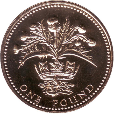 Монета 1 фунт. 1989 год, Великобритания. BU. Чертополох.