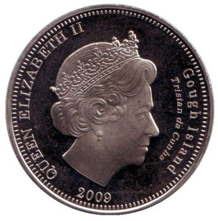 ptica-1.jpg ptica-1.jpg