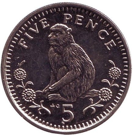 Монета 5 пенсов. 1989 год, Гибралтар. (AC) Варварийская обезьяна.