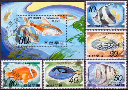 Марки почтовые. Серия из 5 марок и 1 блока. 1991 год, Северная Корея (КНДР). Рыбы (морская фауна).