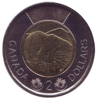 Монета 2 доллара. 2015 год, Канада. Медведь.