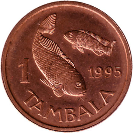 Монета 1 тамбала, 1995 год, Малави. (Немагнитная) Рыбы. Из обращения.