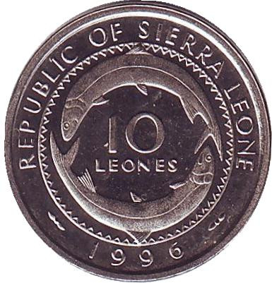 10-1ns.jpg 10-1ns.jpg