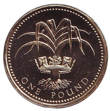 Монета 1 фунт. 1990 год, Великобритания. BU. Лук-порей.