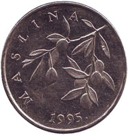 Монета 20 лип. 1995 год, Хорватия. Олива европейская. Монета 20 лип. 1995 год, Хорватия. Олива европейская.
