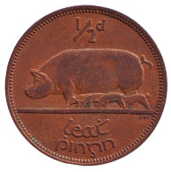 Монета 1/2 пенни. 1964 год, Ирландия. Свинья. Монета 1/2 пенни. 1964 год, Ирландия. Свинья.