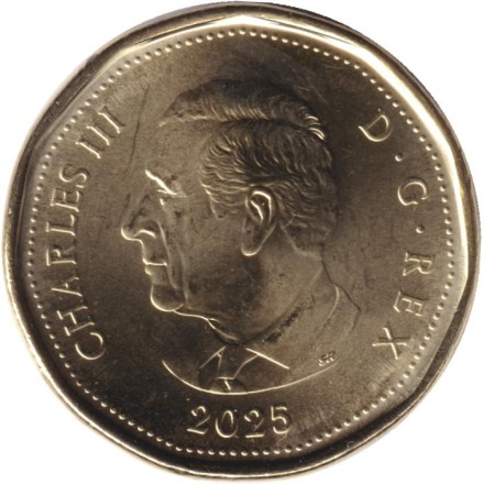 Монета 1 доллар. 2025 год, Канада. 150 лет Верховному Суду Канады. (Цветная).