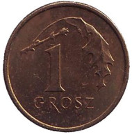 Монета 1 грош, 1997 год, Польша. Дубовый лист. Монета 1 грош, 1997 год, Польша. Дубовый лист.