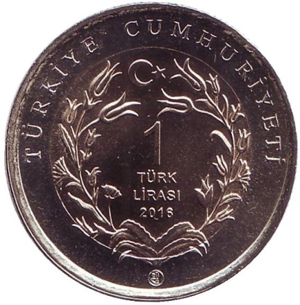 tur-12.jpg tur-12.jpg