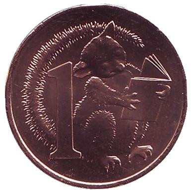 Монета 1 цент. 2017 год, Австралия. Опоссум Хаш.