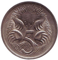 Монета 5 центов. 1980 год, Австралия. Ехидна. Монета 5 центов. 1980 год, Австралия. Ехидна.