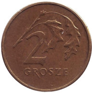 Монета 2 гроша, 2000 год, Польша. Дубовые листья. Монета 2 гроша, 2000 год, Польша. Дубовые листья.