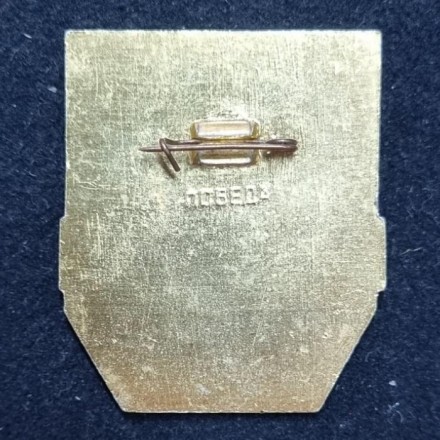 Дружинник. Значок. СССР. Тип 1.