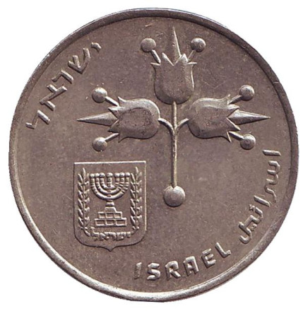 Монета 1 лира. 1971 год, Израиль.