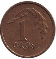 Монета 1 грош, 2000 год, Польша. Дубовый лист. Монета 1 грош, 2000 год, Польша. Дубовый лист.