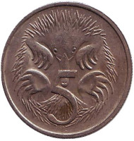 Монета 5 центов. 1981 год, Австралия. Ехидна. Монета 5 центов. 1981 год, Австралия. Ехидна.