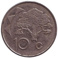 Монета 10 центов. 1998 год, Намибия. Акация. Монета 10 центов. 1998 год, Намибия. Акация.