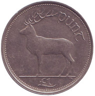 Монета 1 фунт. 1990 год, Ирландия. Олень. Монета 1 фунт. 1990 год, Ирландия. Олень.