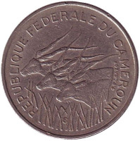 Африканские антилопы. (Западные канны). Монета 100 франков. 1971 год, Камерун.