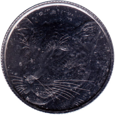 Монета 1 куруш. 2022 год, Турция. Дикие кошки. Леопард.