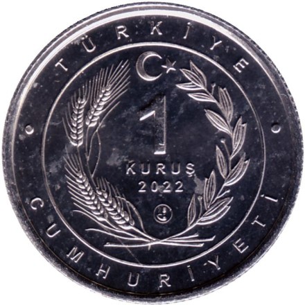 Монета 1 куруш. 2022 год, Турция. Дикие кошки. Леопард. Монета 1 куруш. 2022 год, Турция. Дикие кошки. Леопард.